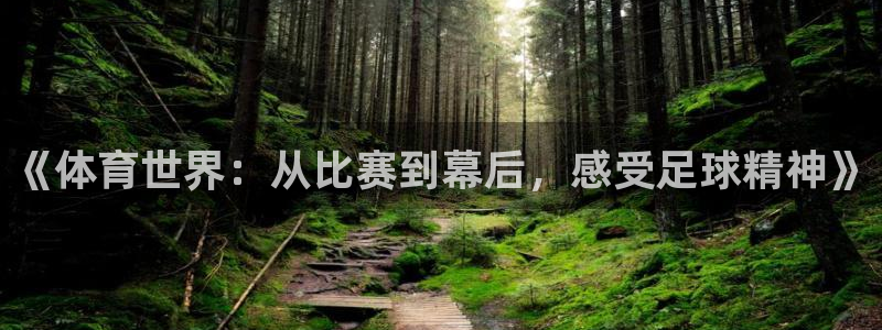 《体育世界：从比赛到幕后，感受足球精神》