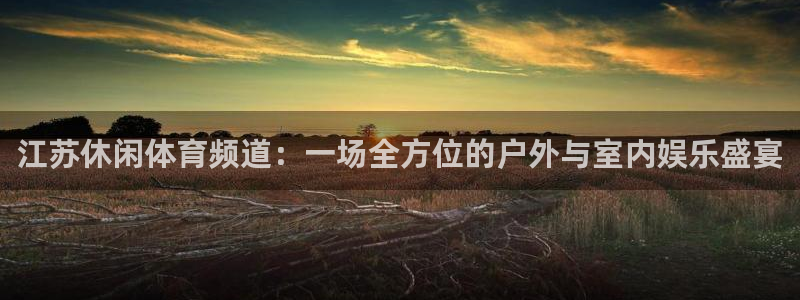 江苏休闲体育频道：一场全方位的户外与室内娱乐盛宴