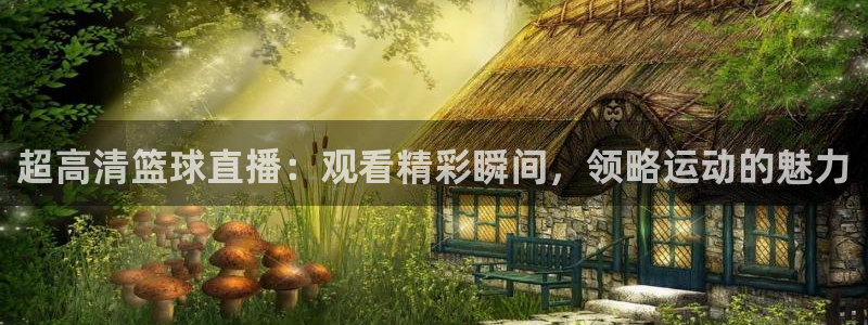 超高清篮球直播：观看精彩瞬间，领略运动的魅力